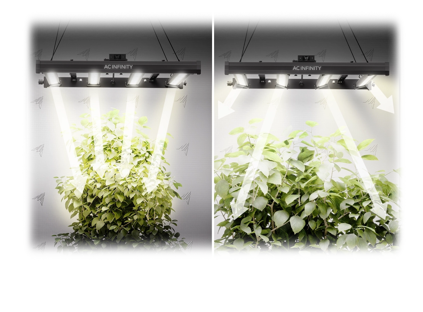 AC Infinity Ionprime LED grow light demonstrating optimal canopy penetration and wide, even light distribution for healthy indoor plant growth.