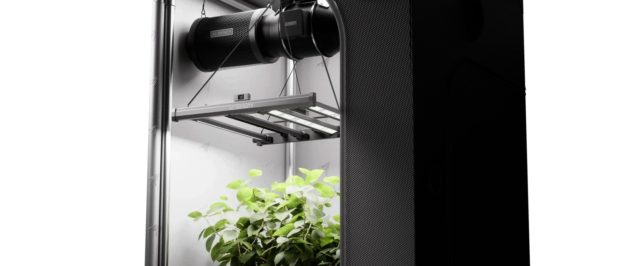 AC Infinity Ionprime LED grow light illuminating indoor plants inside a climate-controlled grow tent.