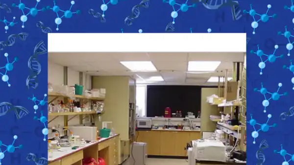 Physics Laboratory I: Classical Experiments Cover