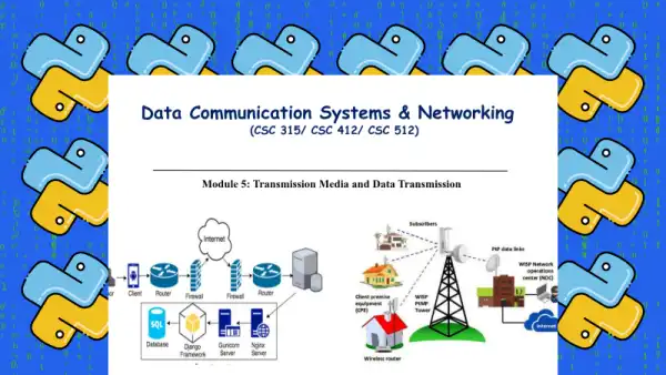 Data Communication: Systems and Network Transmission Cover