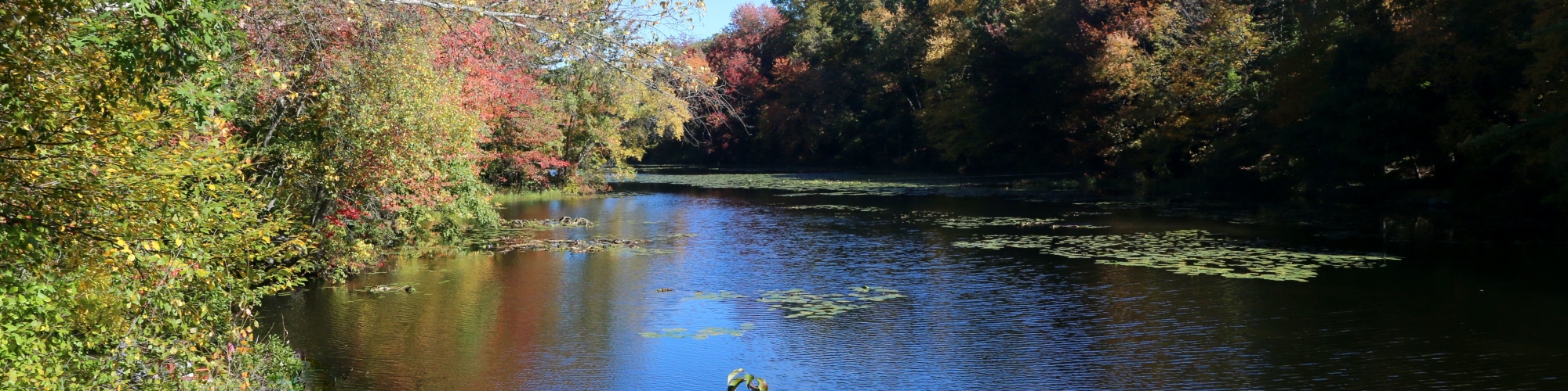 Event Page Woodcock Nature Center S Fall Auction