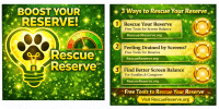 Rescue Meter Blessed logo