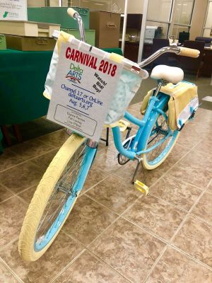 womens bike with basket and cup holder