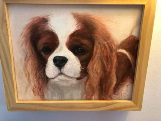 major the talking dog