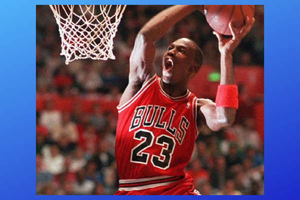 Auction Page Michael Jordan Chicago Bulls Signed 23 Jersey