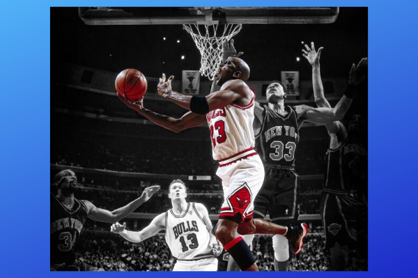 Auction Page Michael Jordan Chicago Bulls Signed 23 Jersey