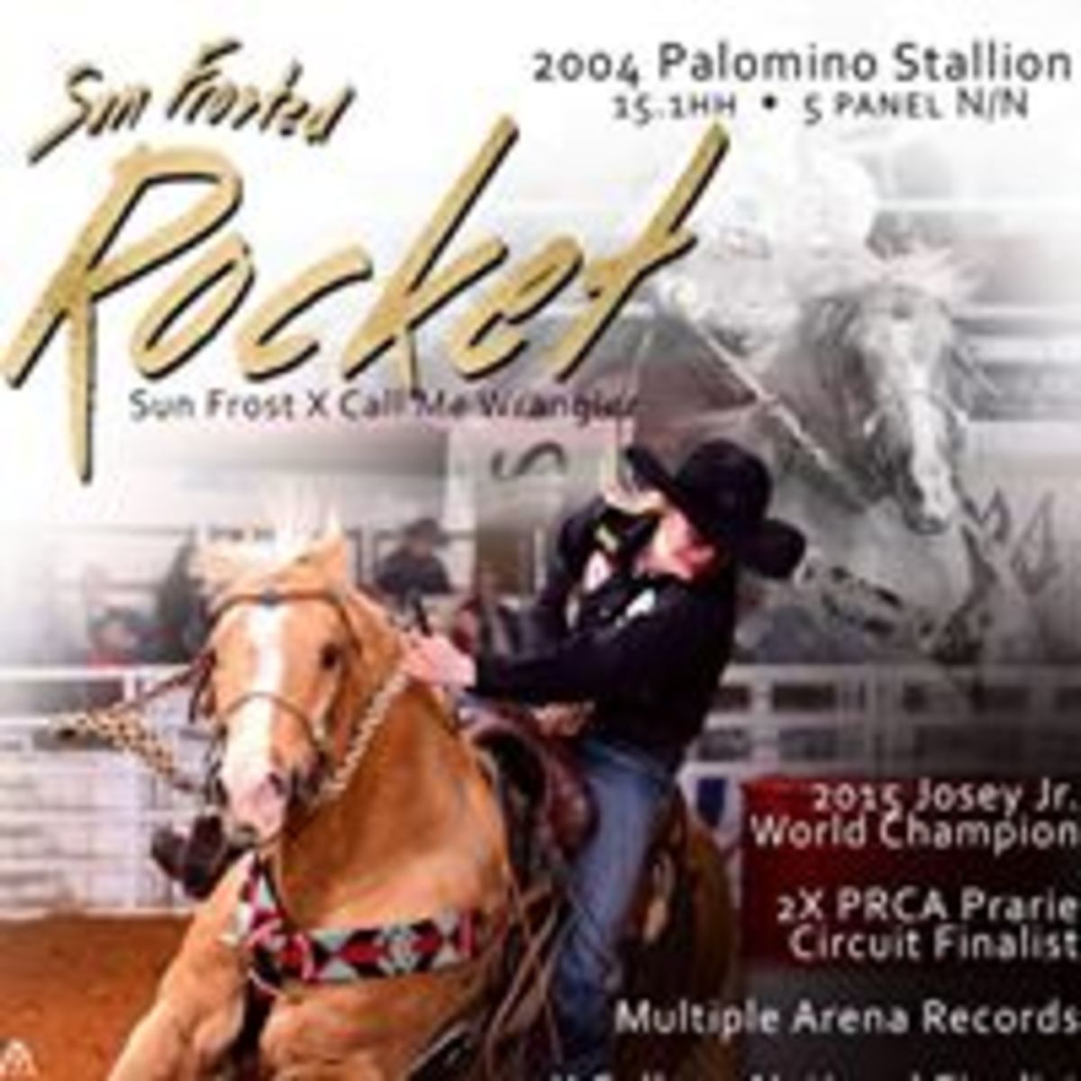 Auction Page | SUN FROSTED ROCKET - SUN FROST X CALL ME WRANGLER (ROCKET  WRANGLER)