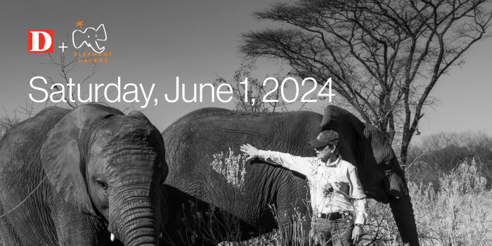 Subscriber Exclusive Event: Elephant Havens Boma-Raising Dinner event logo