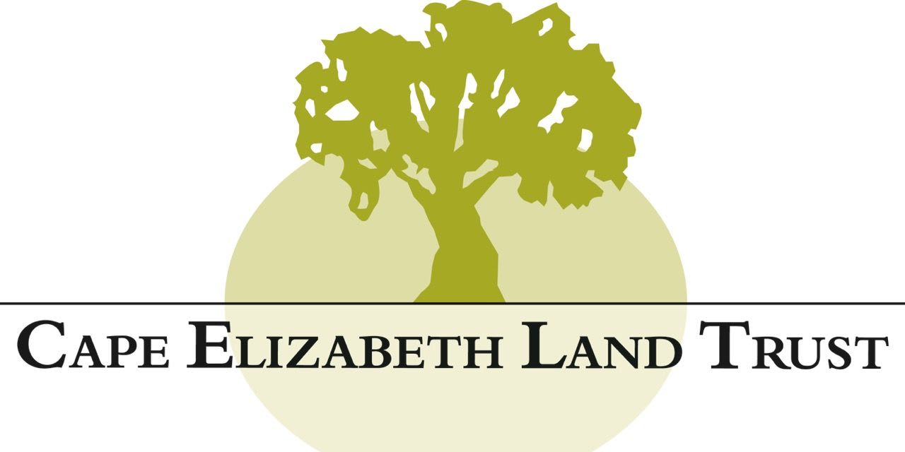 Paint for Preservation event logo