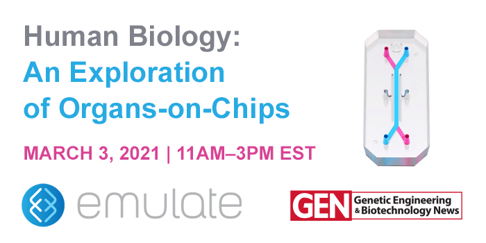 Human Biology: An Exploration of Organs-on-Chips event logo