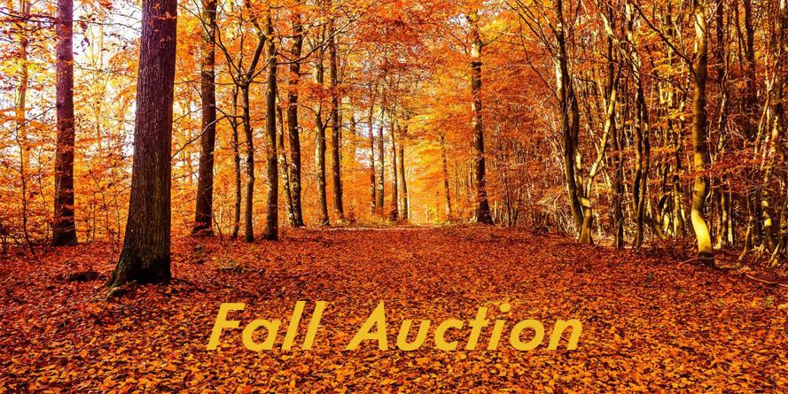 Fall Auction 2023  event logo