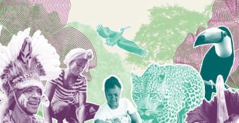 Forests, People, Planet: Scaling Local Solutions for Global Impact