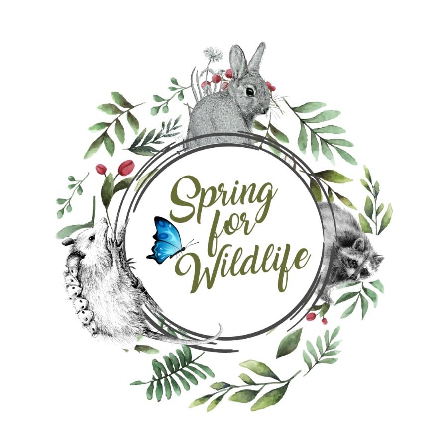 Spring for Wildlife event logo
