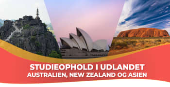 Studieophold i Australien, New Zealand og Asien