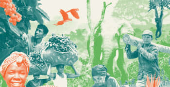 GLF Forests 2025: Defining the Next Decade of Action