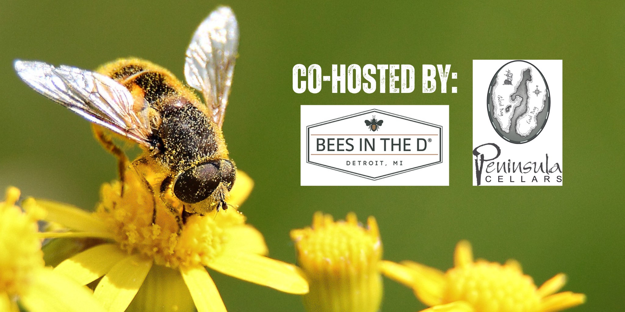 Cityfest - Honeybee Dinner event logo
