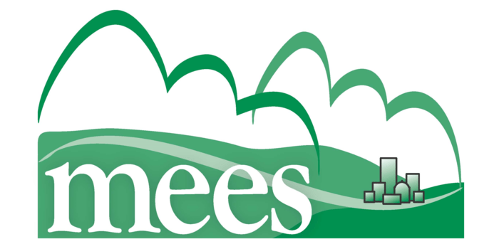 2021 MEES Conference event logo