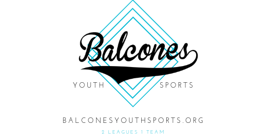 BYS Major League Hall of Fame Baseball Auction event logo
