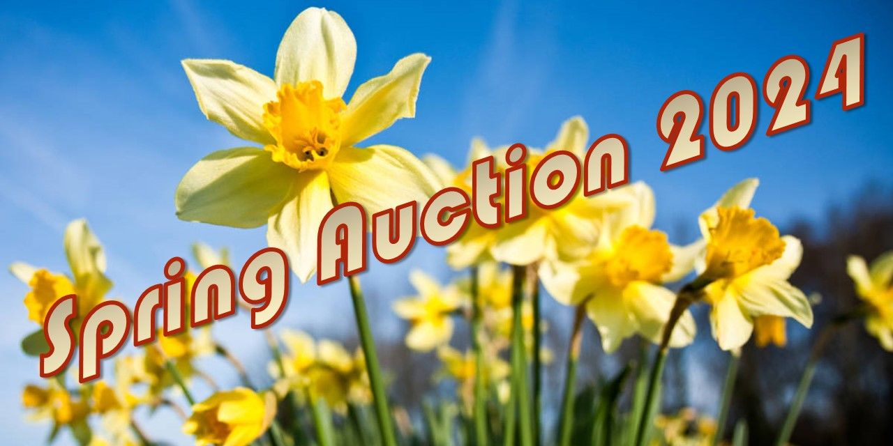 BHS Innovation Fund Spring Auction! event logo