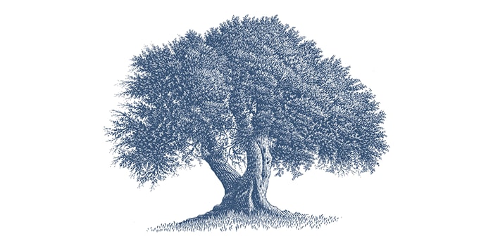 Tree of Life® Award Gala event logo