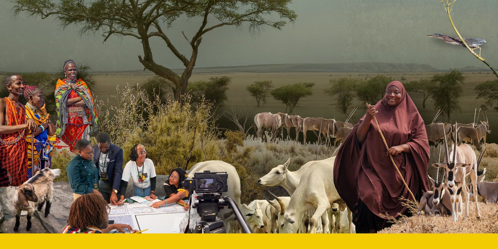 GLF Africa 2026: Stewarding Our Rangelands event logo