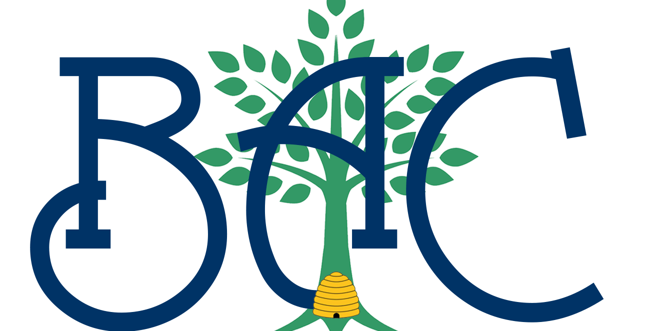 2022 Bethany Connects Raffle event logo
