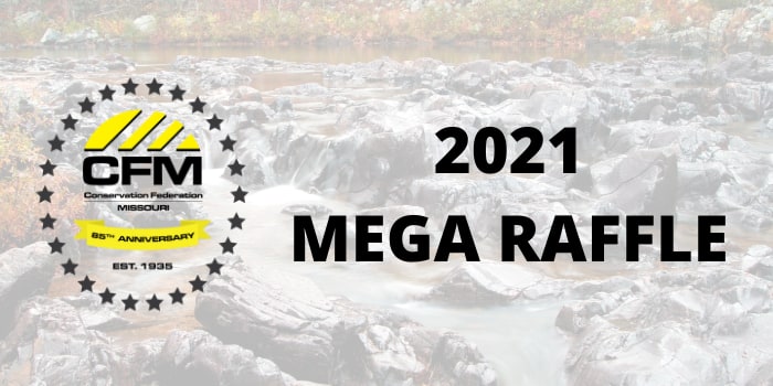 2021 Mega Raffle  event logo