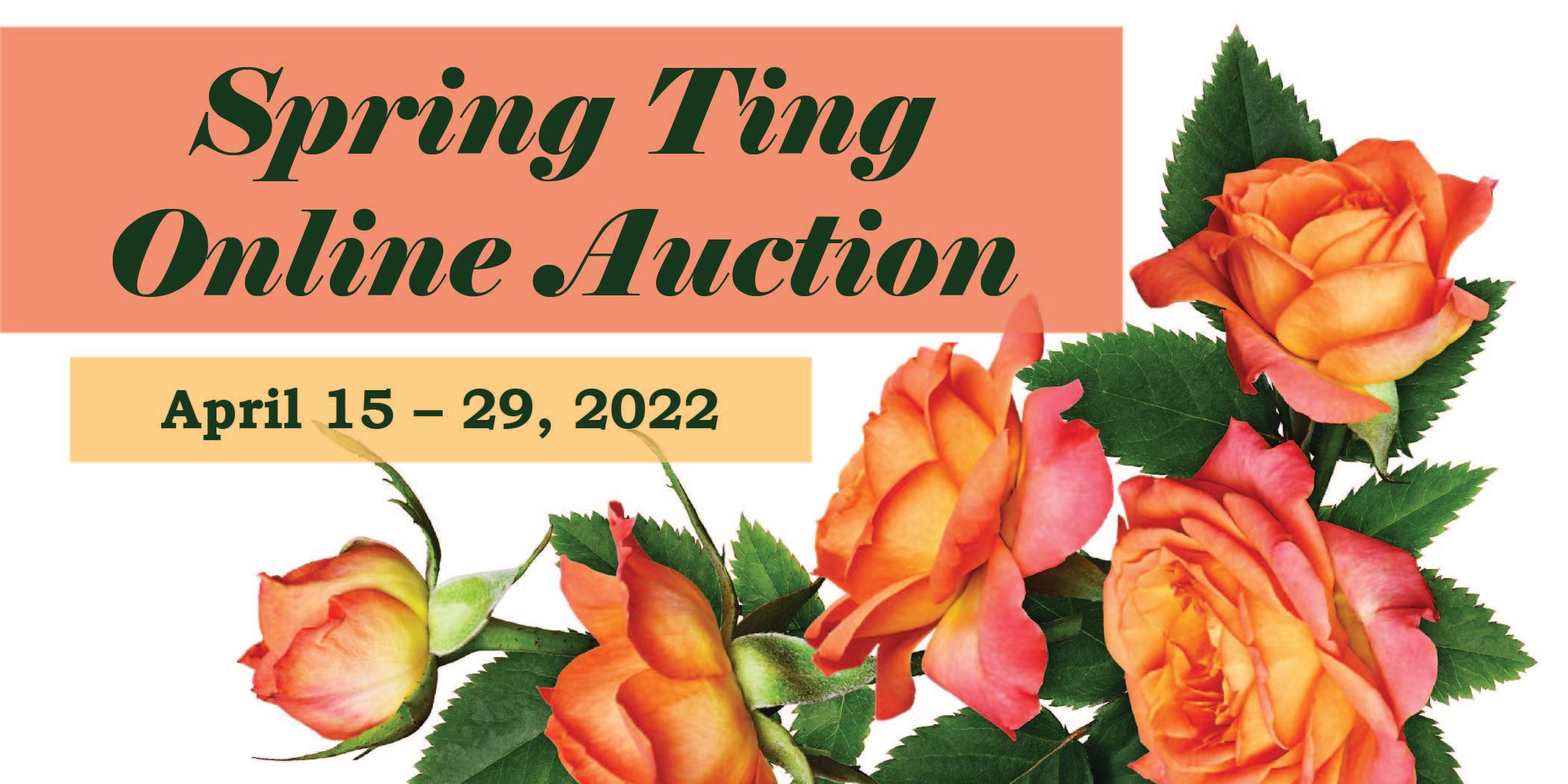 ASHM Spring Ting Online Auction event logo