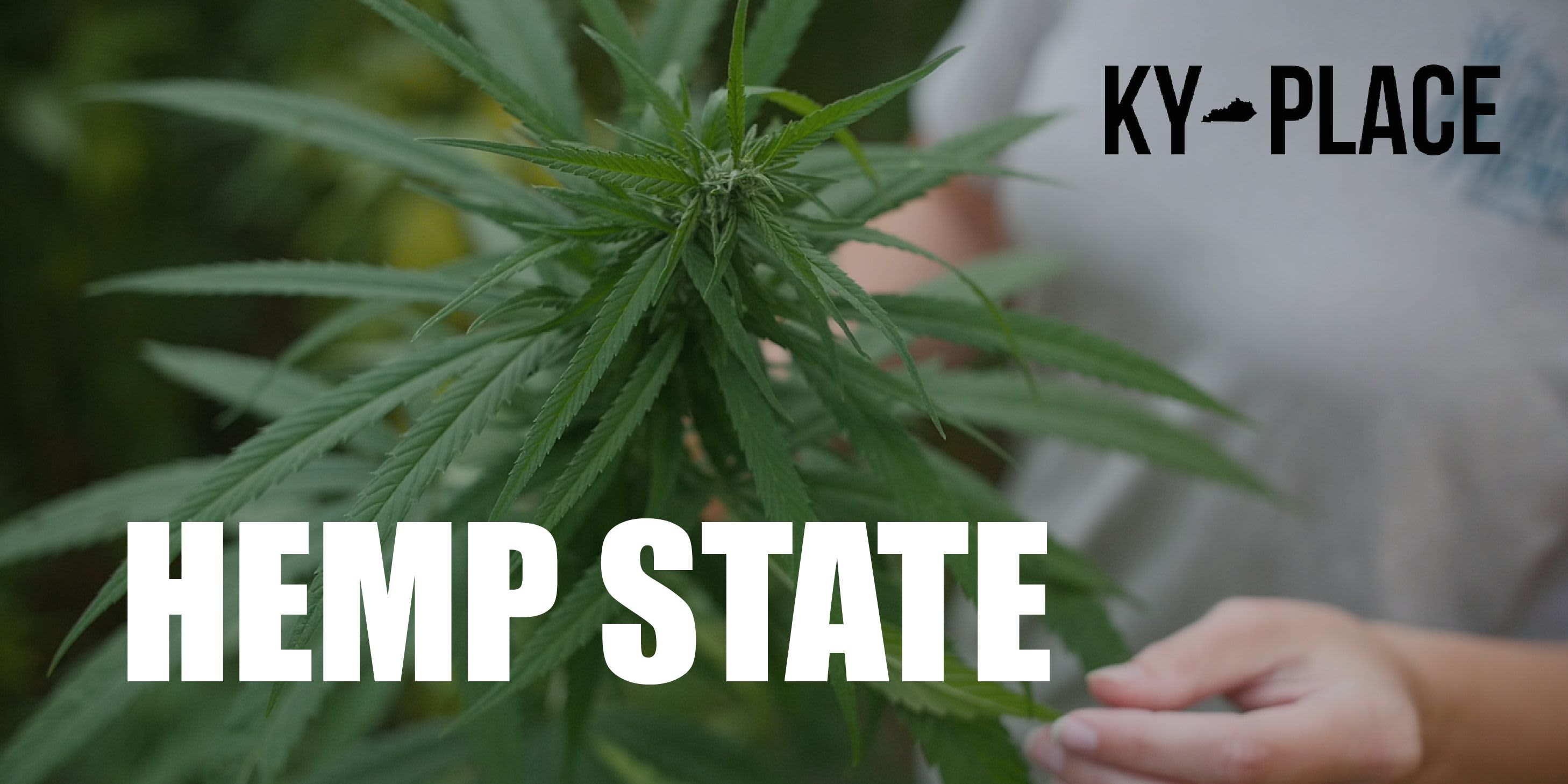 Film Screening - KY Place: Hemp State - Lexington event logo