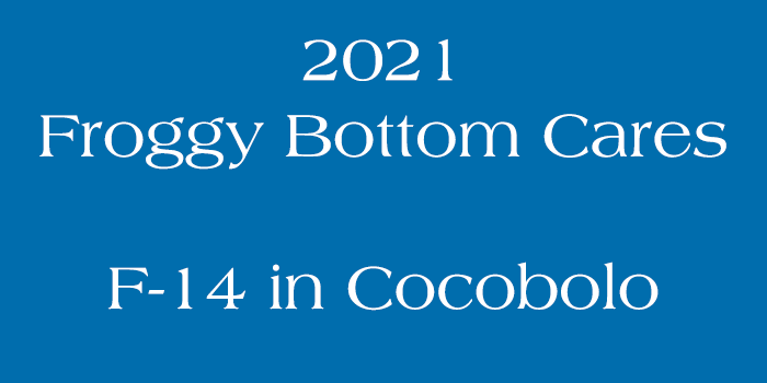 Froggy Bottom Raffle for Sean Aaberg event logo