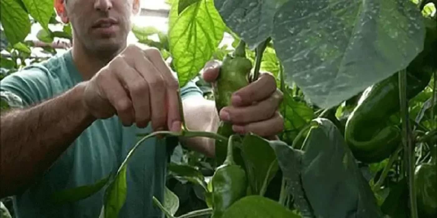 You Belong in Israel Trip event logo