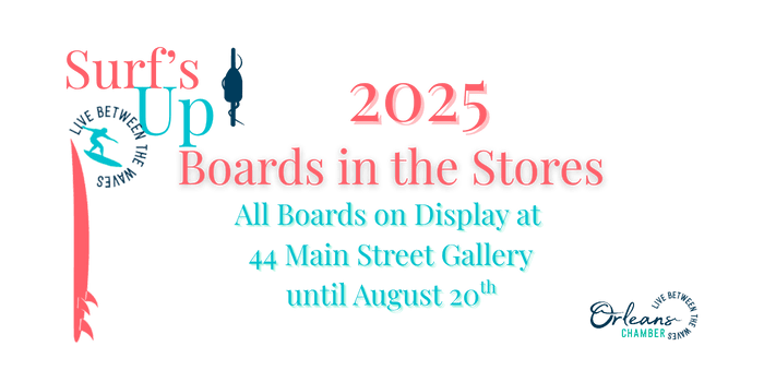 Boards In The Stores 2025 Auction event logo
