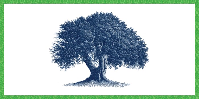 Leonard Litwin New York City Real Estate Tree of Life® Award Gala event logo