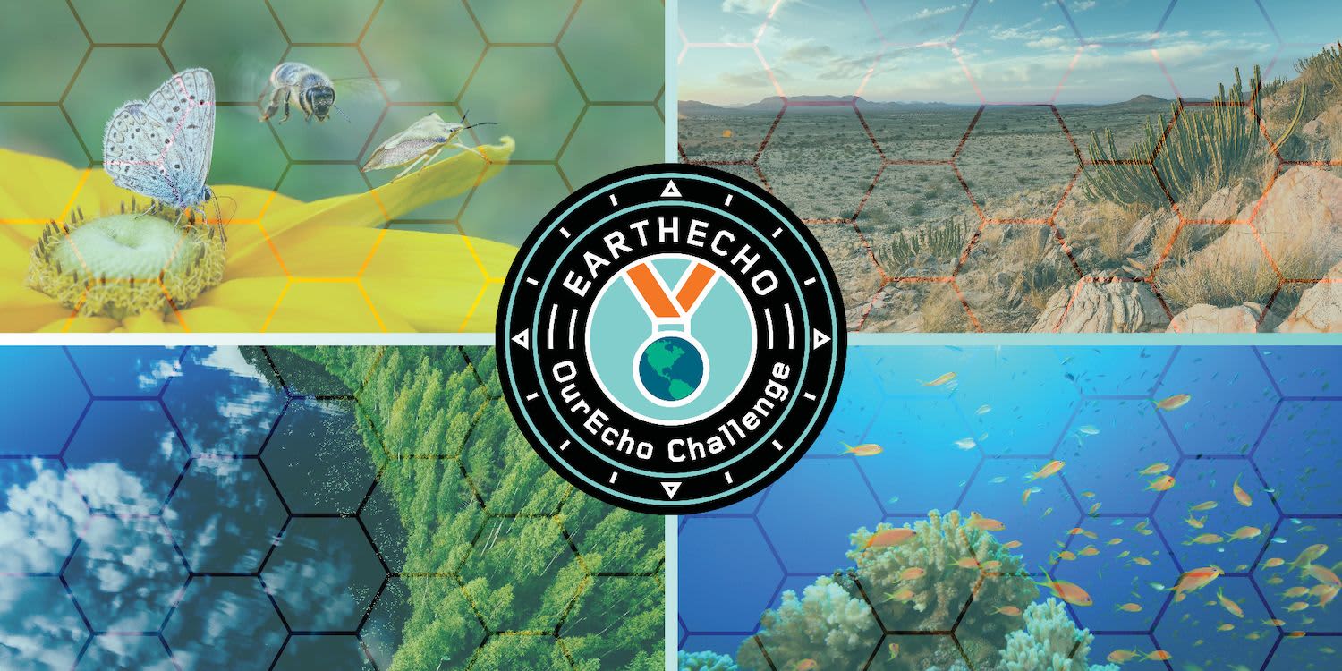 OurEcho Biodiversity Teach-In event logo