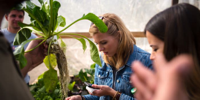 Healthcare Professionals for Israel Mission event logo