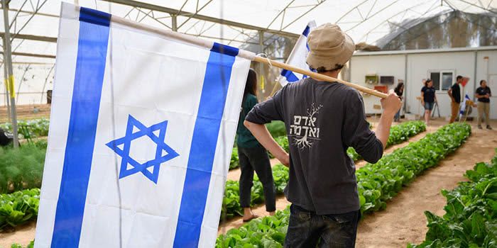 Beer, Cheese & Trees event logo