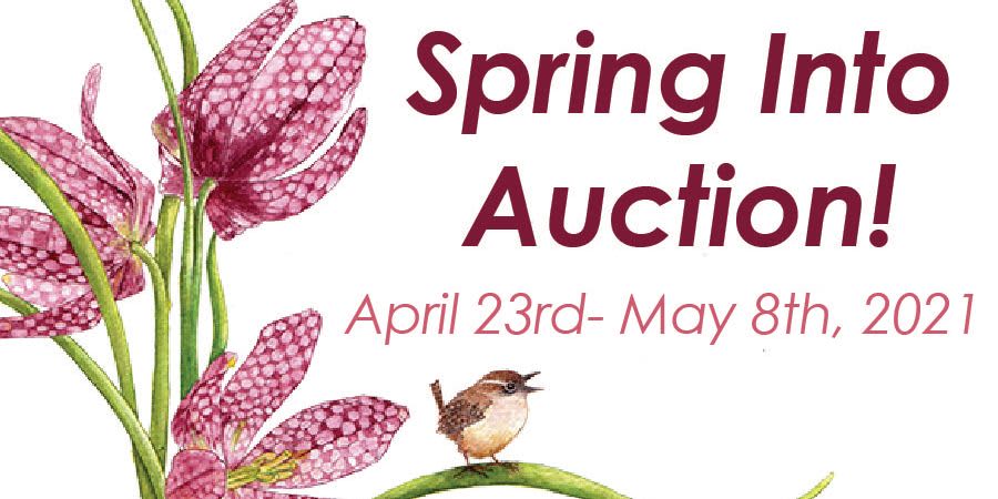 ASHM Spring Into Auction! event logo