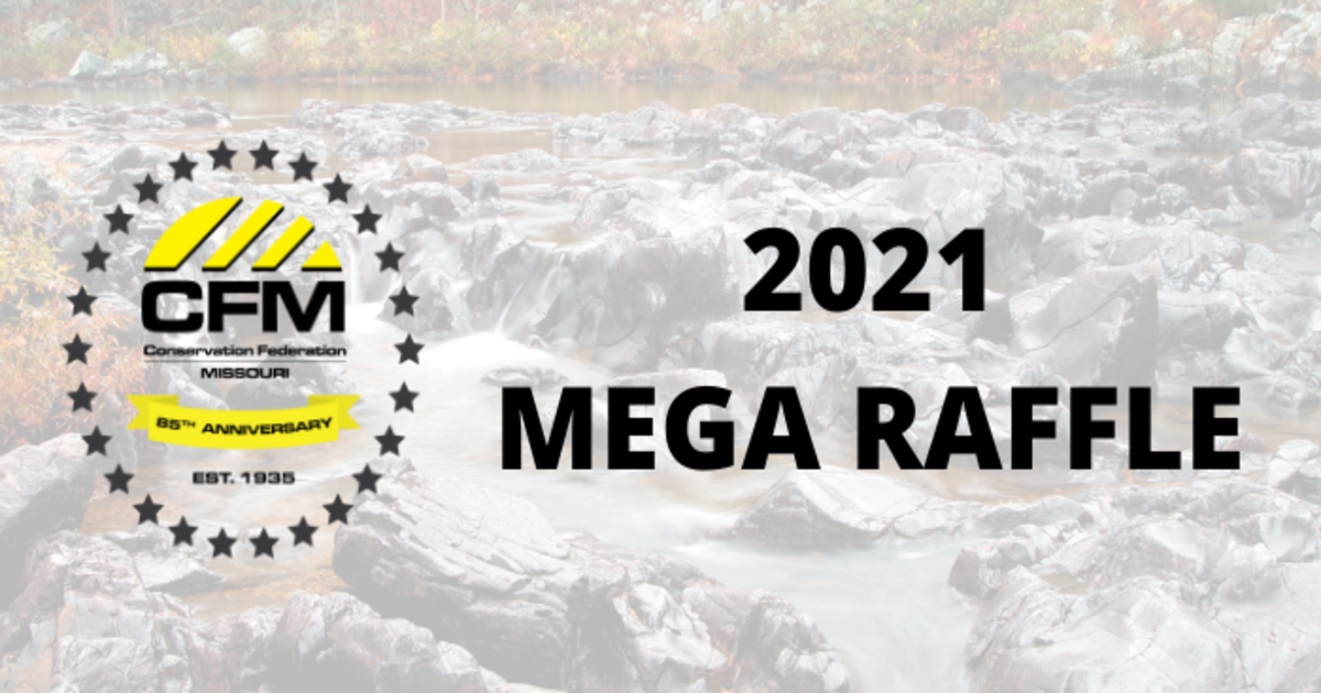 2021 Mega Raffle , Sun, Sep 5th, 2021 @ 1:41 PM Accelevents