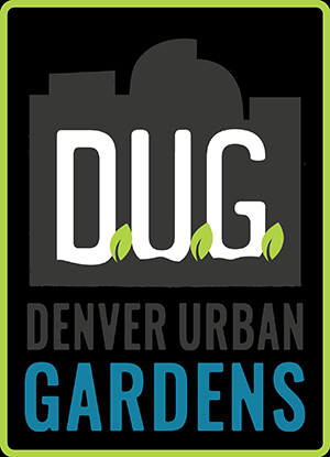 dug