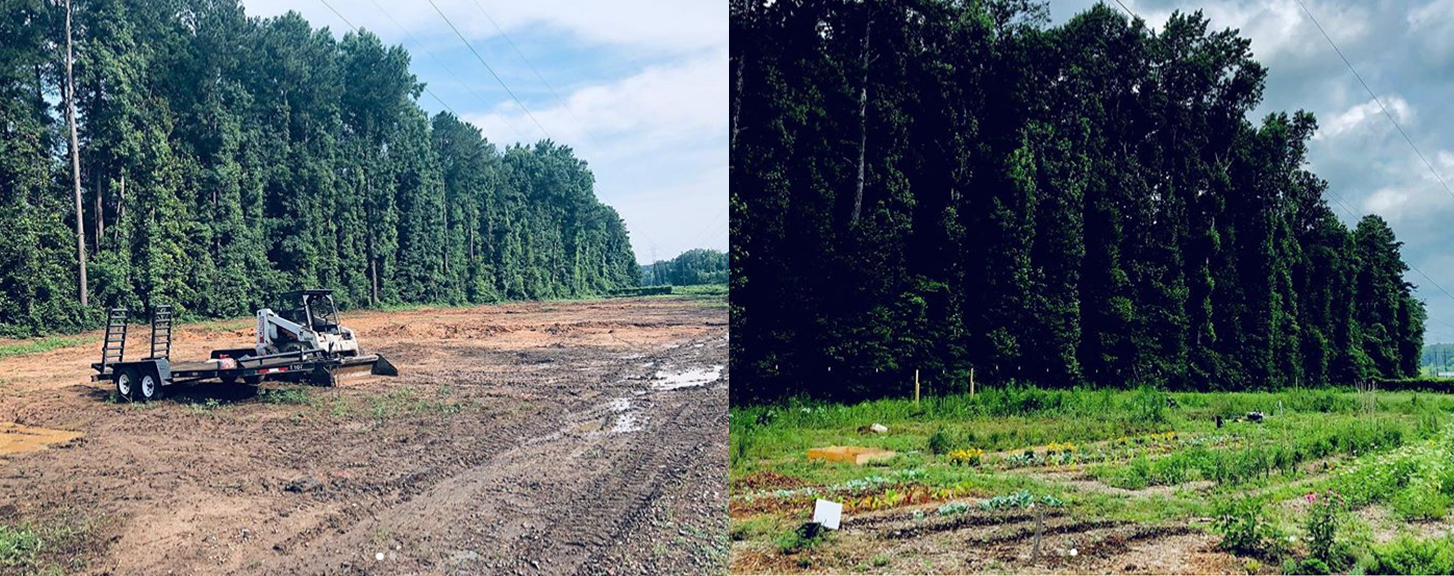 Gratitude Botanical Farm - 2018 to 2019