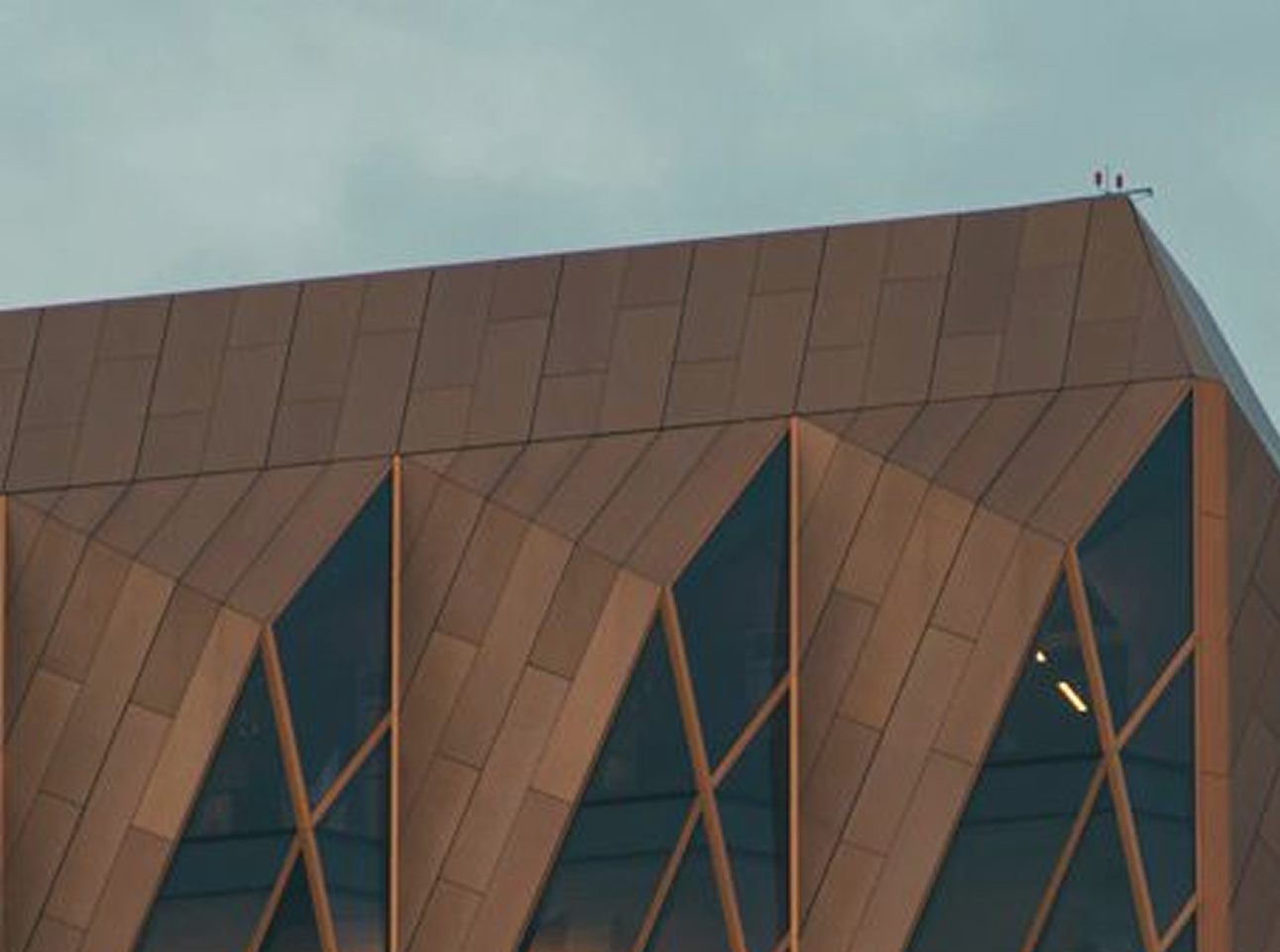 IS 17802 — formalised national web accessibility standard