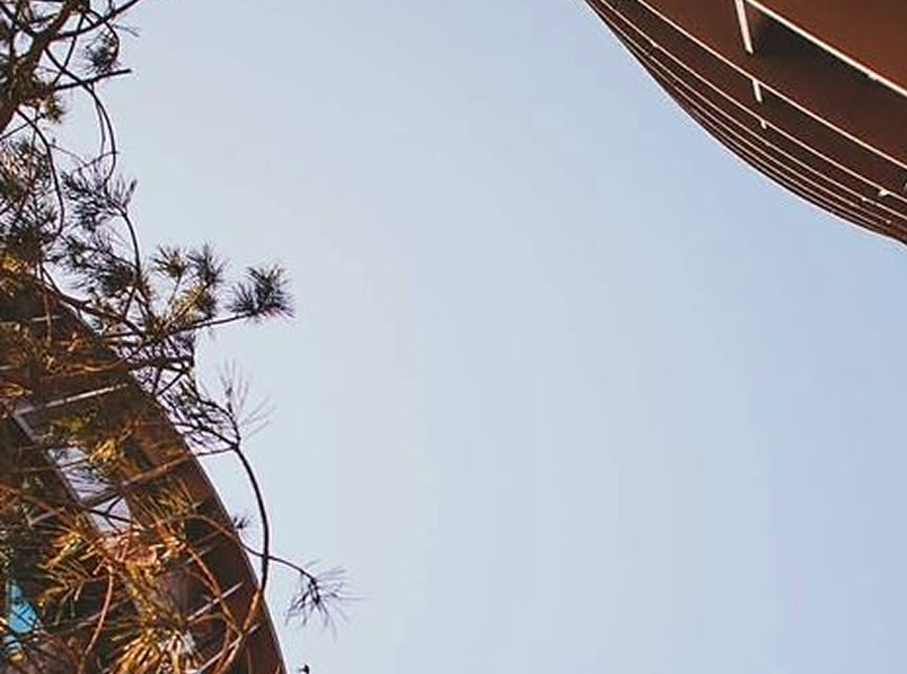 RPwD Act 2016, Section 42 — statutory obligation