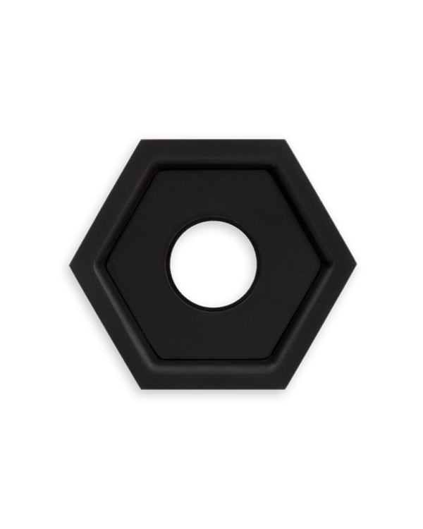 Thom FIlicia For Accurate Convex Hex Rose US19LL.M Front View