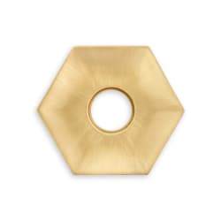 Thom FIlicia For Accurate Concave Hex Rose US4 Front View