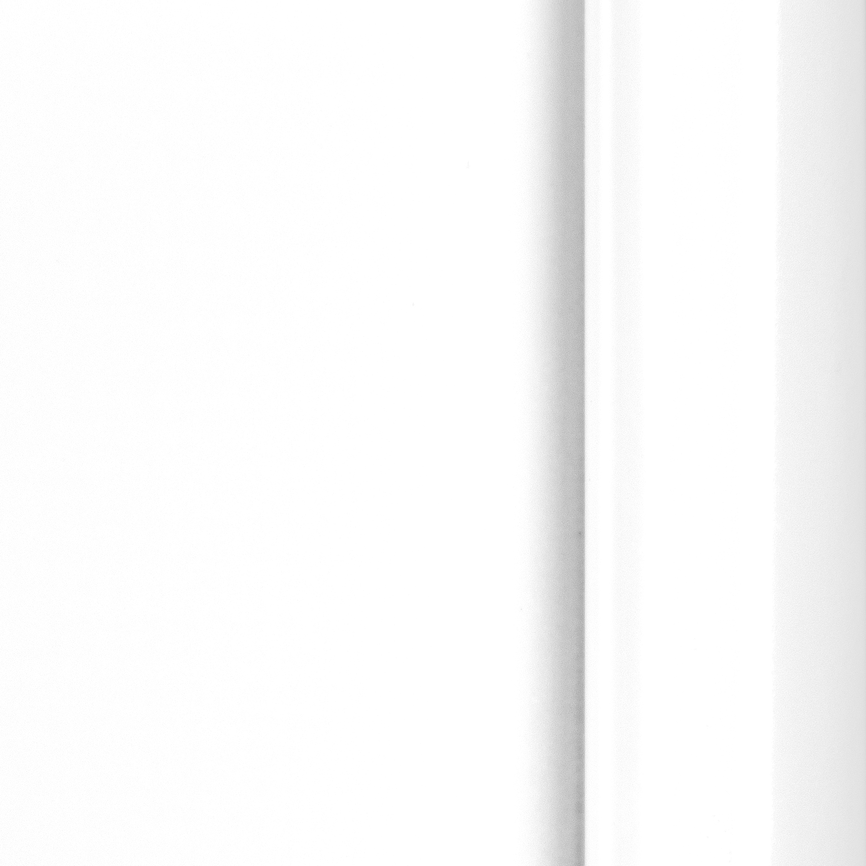 Cerakote White Gloss