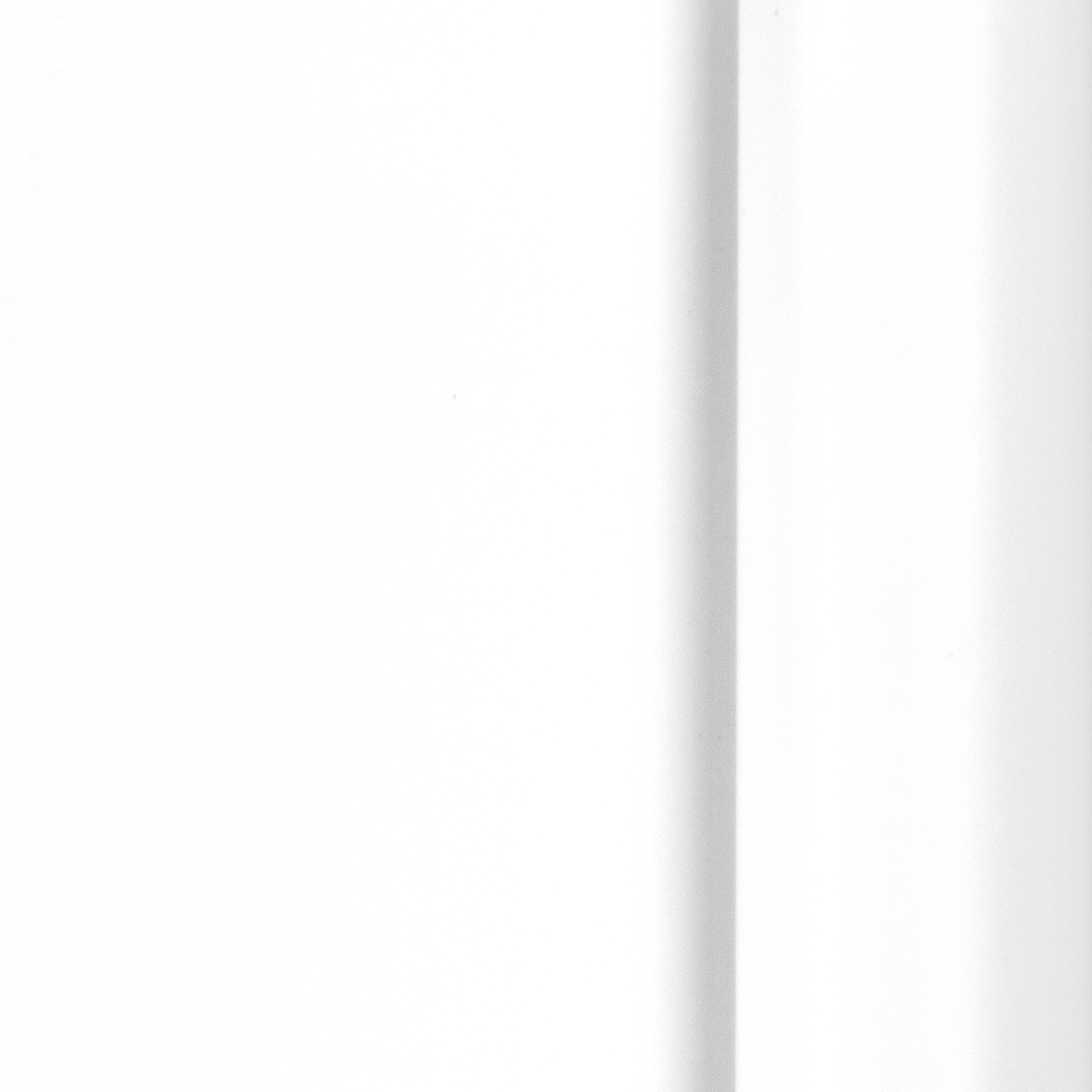 Cerakote White Matte