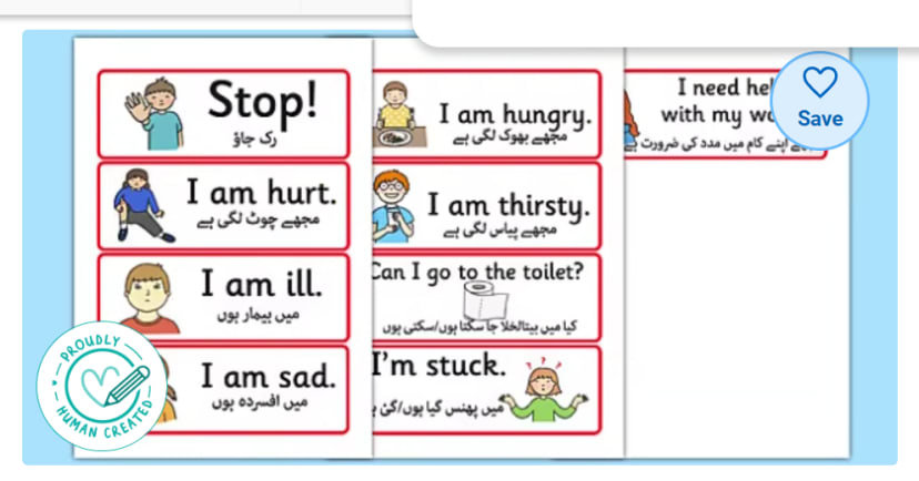 Screenshot of: Urdu Survival Vocabulary (Twinkl)