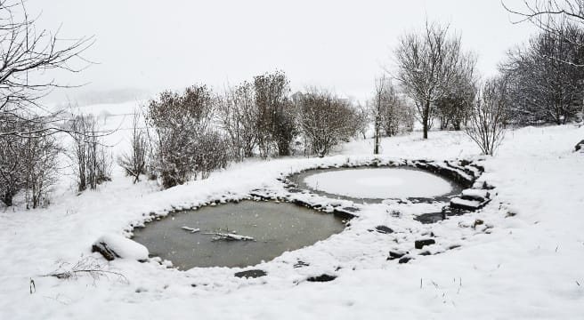 Tümpelbau-Offensive - das 100. Froschparadies ist gebaut