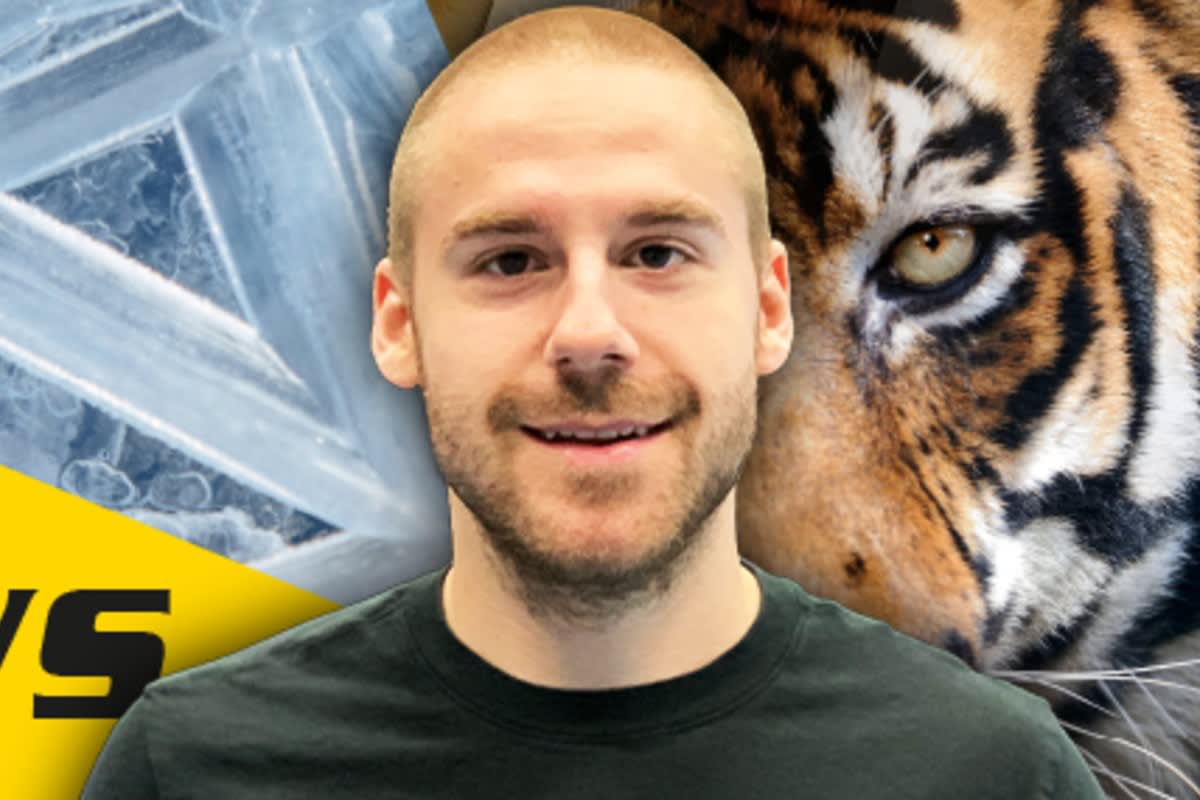 Stürmer Kay Schweri unterschreibt bei den SCL Tigers