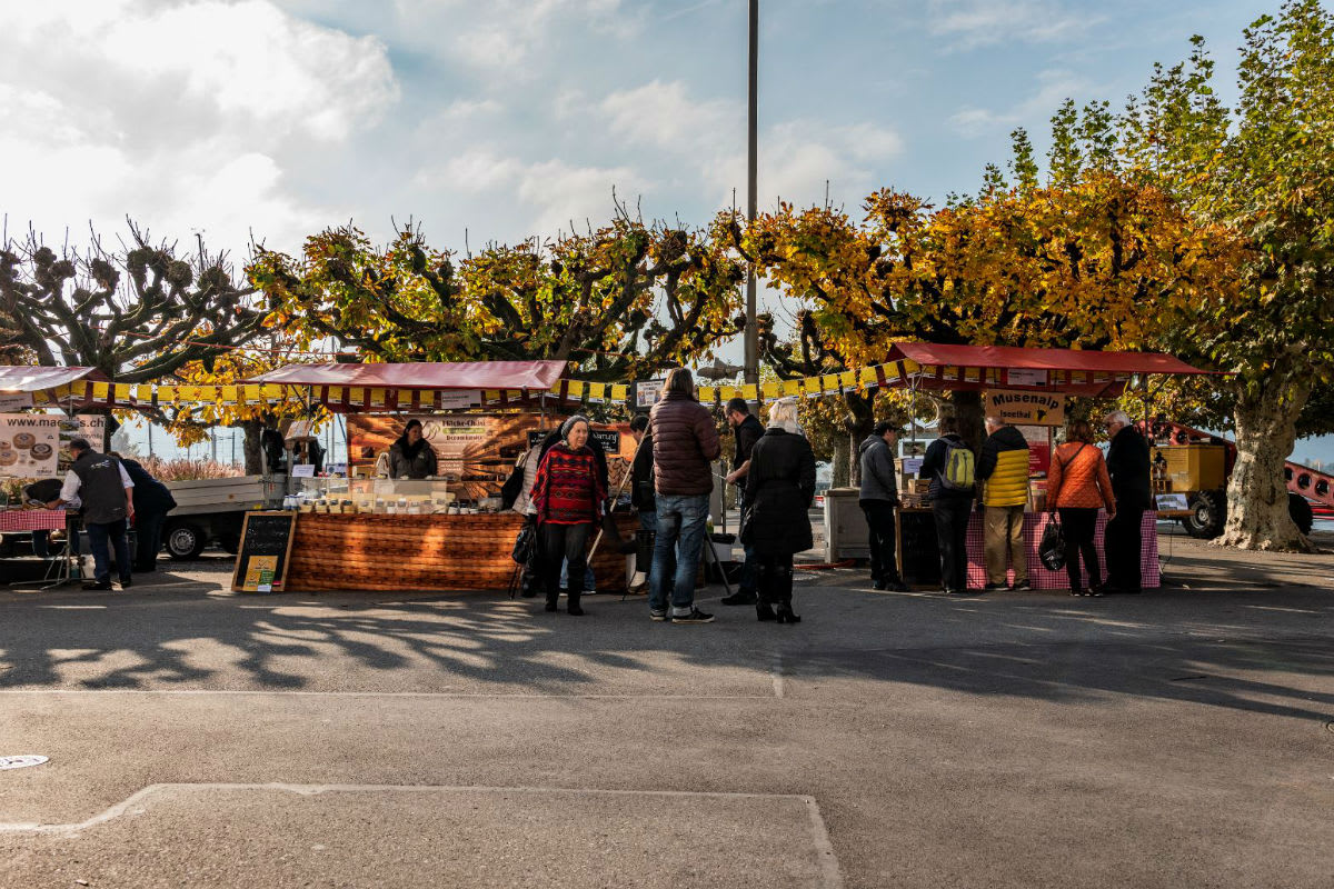 Käsefest in Rapperswil-Jona